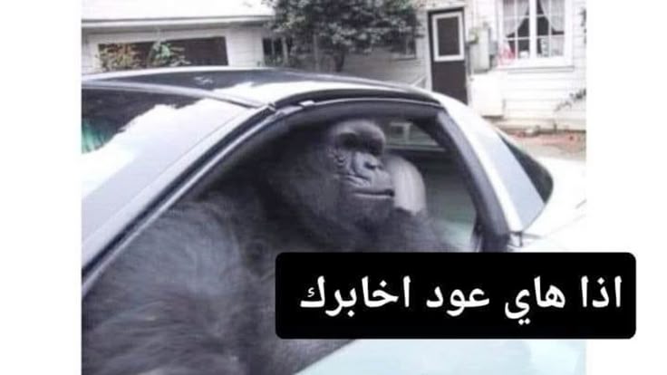 When I hear something suspicious