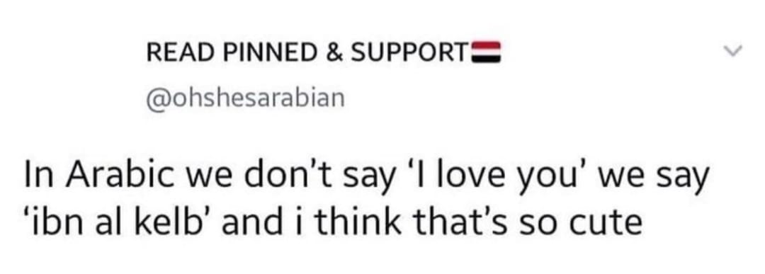 Arab Love = Funny Insults?