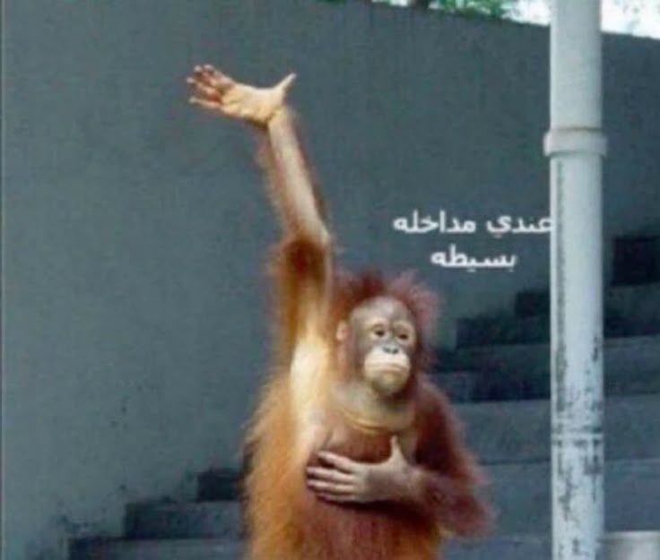 Simple Interjection Moment