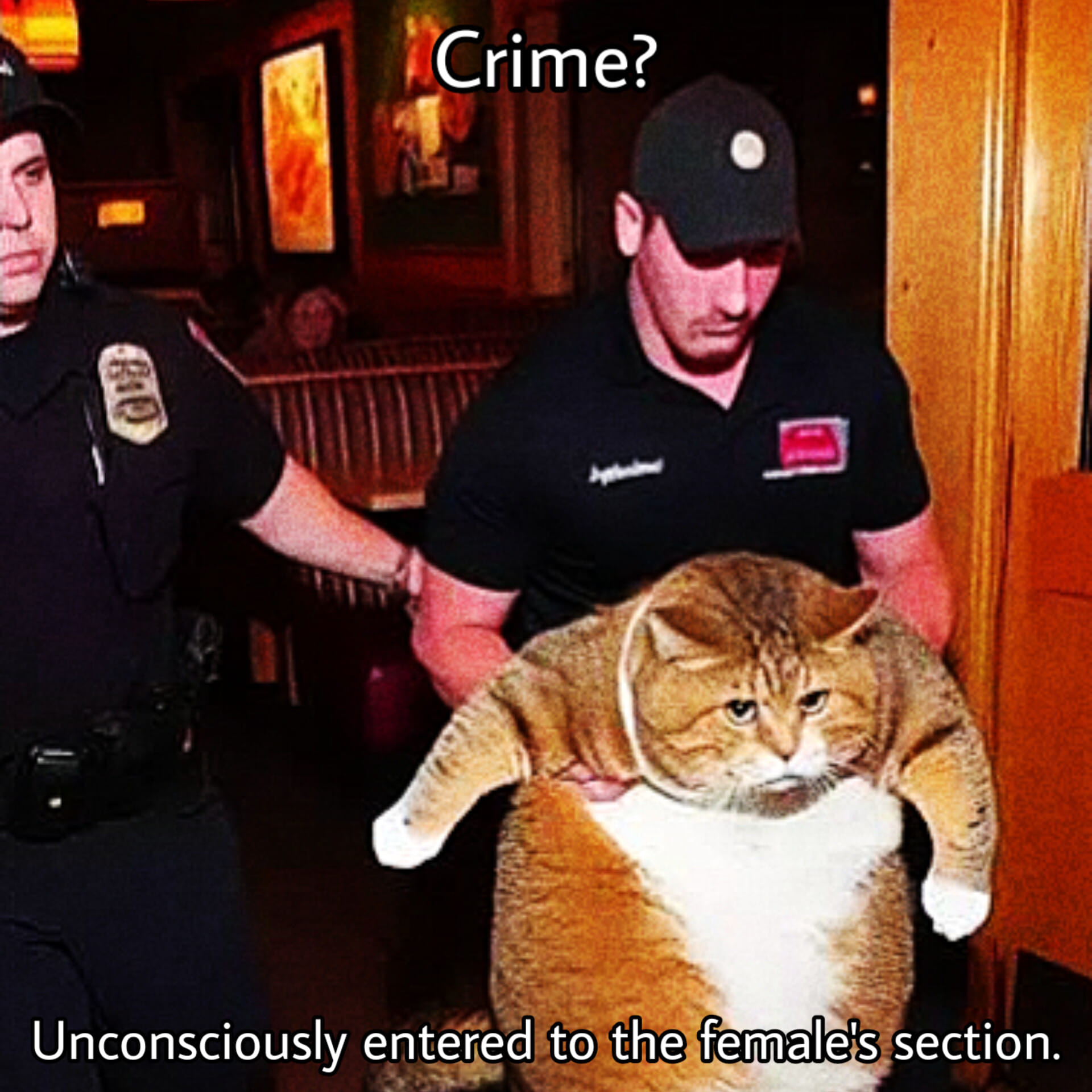 Accidentally Breaking Cultural Rules