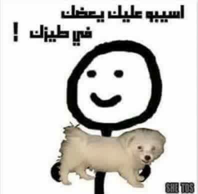 Let the dog bite you!