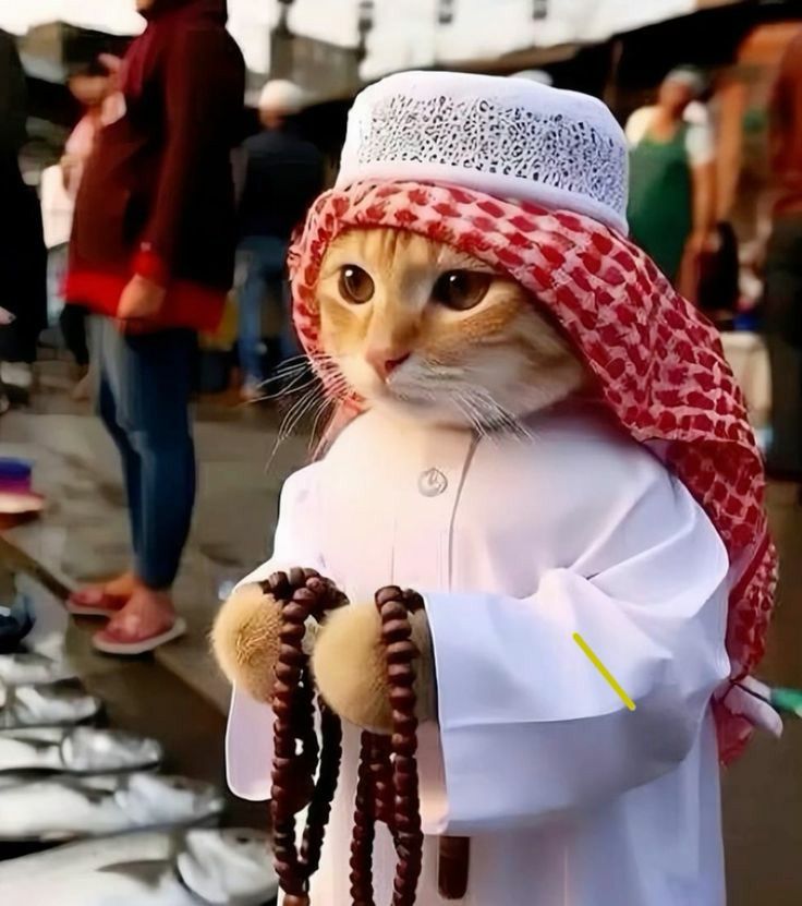 Tiny Sheikh at the Market