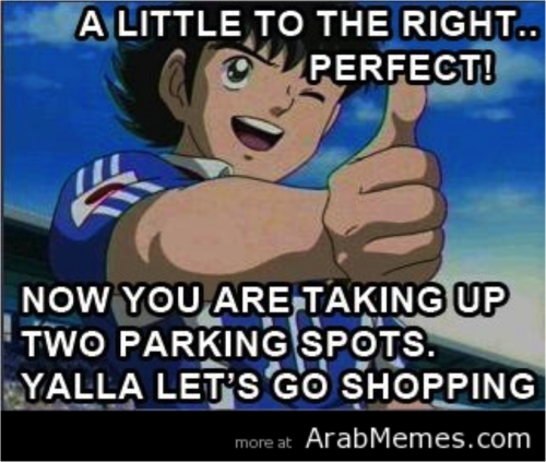 Parking spot struggle